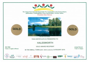 Anglia awards 2016 (Gold Town)